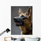Studio Shot German Shepherd Wall Decal