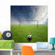 sport 3 Wall Mural