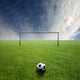 Sport 3 Wall Decal
