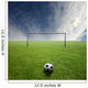 sport 3 Wall Mural