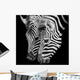 A Headshot of a Burchell's Zebra Wall Mural