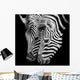 A Headshot of a Burchell's Zebra Wall Mural