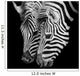 A Headshot of a Burchell's Zebra Wall Mural