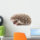 Hedgehog Wall Decal