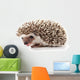 Hedgehog Wall Decal