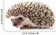 Hedgehog Wall Decal