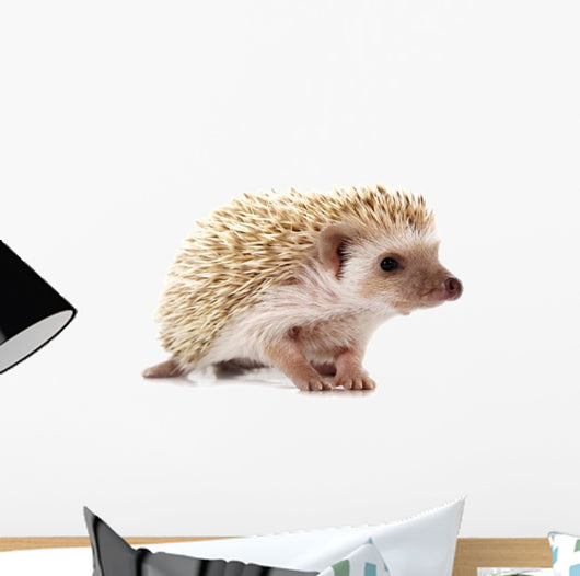 Hedgehog 2 Wall Decal