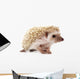 Hedgehog 2 Wall Decal