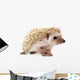Hedgehog 2 Wall Decal