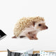 Hedgehog 2 Wall Decal