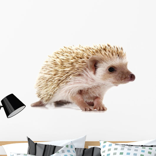 Hedgehog 2 Wall Decal
