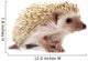 Hedgehog 2 Wall Decal