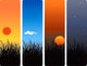 Sunrise, Noon, Sunset And Midnight Wall Decal