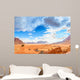 Scenic Jordanian Desert Wadi Wall Decal