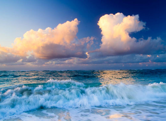 Sea Wall Decal