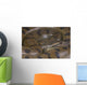 Green anaconda / Eunectes murinus Wall Mural