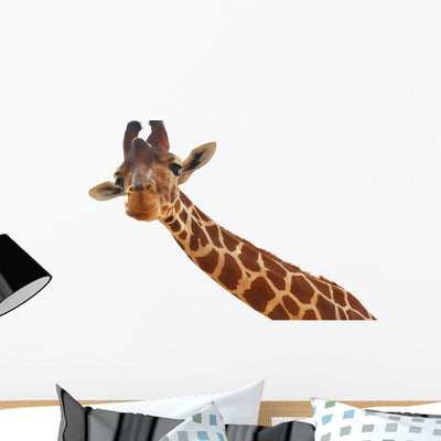 Giraffe Closeup Portrait White Wall Decal shown on a wall