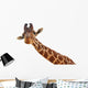 Giraffe Closeup Portrait White Wall Decal