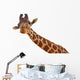 Giraffe Closeup Portrait White Wall Decal