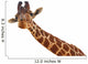 Giraffe Closeup Portrait White Wall Decal