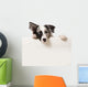 Junger Border Collie Wall Decal