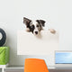Junger Border Collie Wall Decal