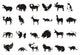 Animals Wall Decal