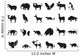 Animals Wall Decal