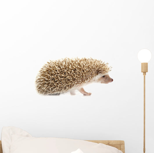 Hedgehog Wall Decal