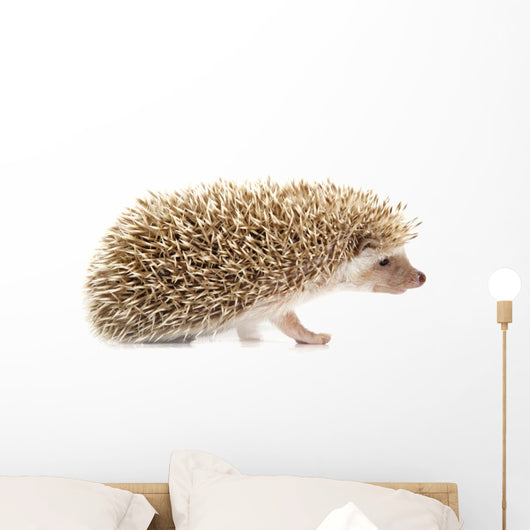 Hedgehog Wall Decal
