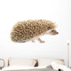 Hedgehog Wall Decal