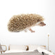 Hedgehog Wall Decal