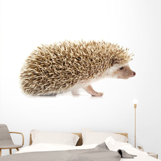Hedgehog Wall Decal