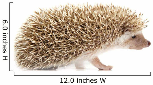 Hedgehog Wall Decal