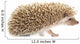 Hedgehog Wall Decal
