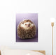 Hedgehog Wall Mural
