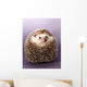 Hedgehog Wall Mural