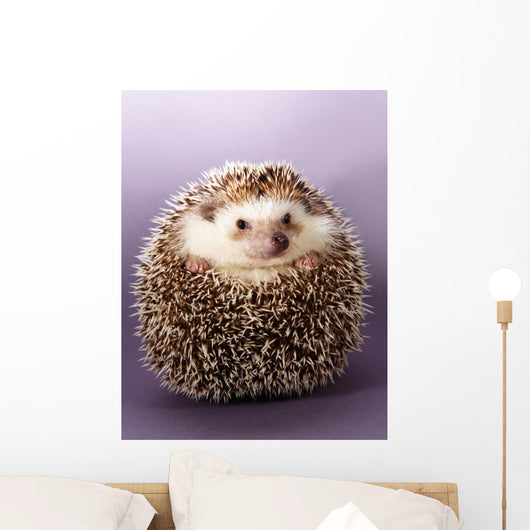 Hedgehog Wall Mural