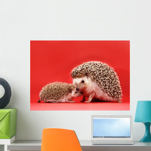 mother and baby hedgehog Wall Mural
