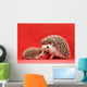 mother and baby hedgehog Wall Mural