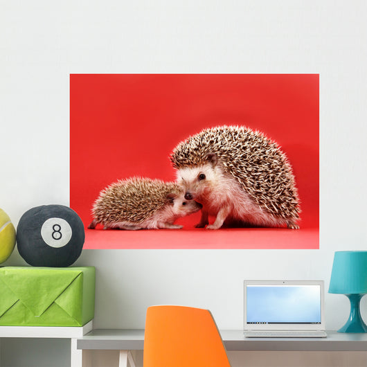 mother and baby hedgehog Wall Mural