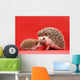 mother and baby hedgehog Wall Mural