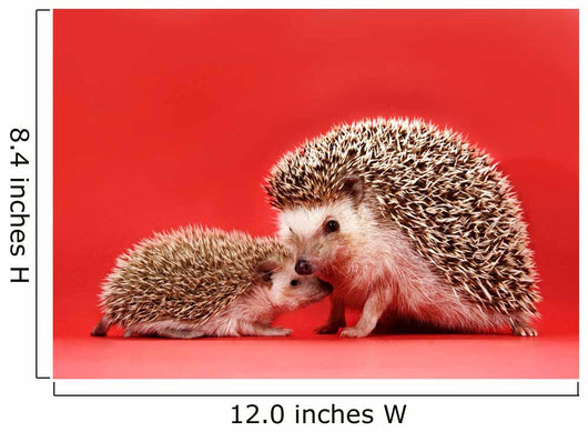 mother and baby hedgehog Wall Mural