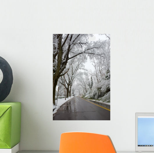Winter in Washington DC Wall Mural