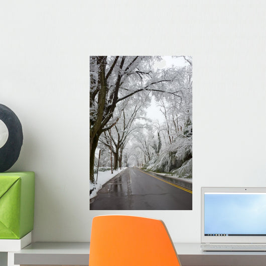 Winter in Washington DC Wall Mural