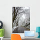 Winter in Washington DC Wall Mural