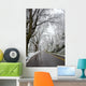 Winter in Washington DC Wall Mural
