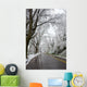 Winter in Washington DC Wall Mural