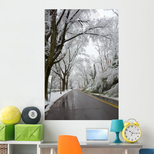 Winter in Washington DC Wall Mural
