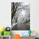 Winter in Washington DC Wall Mural